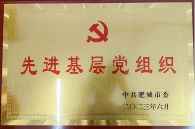 喜报！公司党委荣获肥城市“先进基层党组织”荣誉称号