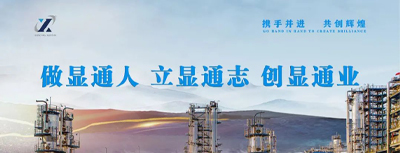 喜报！公司党委荣获肥城市“先进基层党组织”荣誉称号