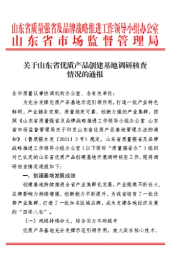 公司顺利通过山东省优质建筑安装服务基地的龙头骨干企业调研核查