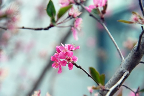 司园春景盛，奋进正当时